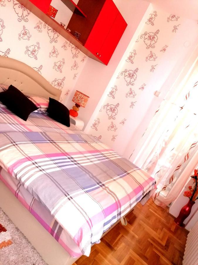 Apartman Nena Nova Varoš 外观 照片