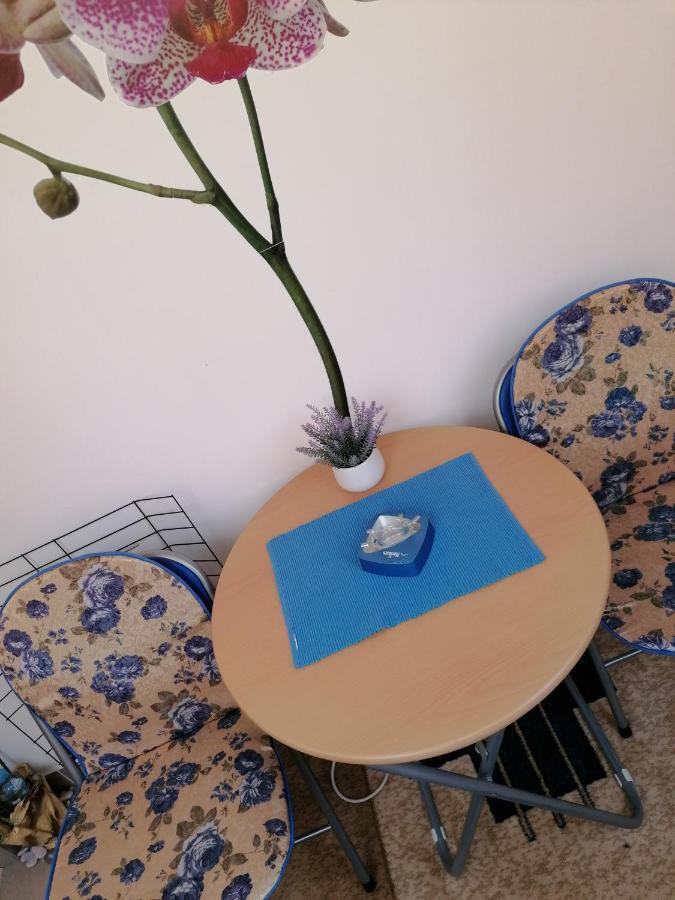 Apartman Nena Nova Varoš 外观 照片